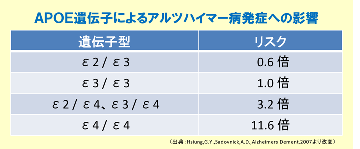 APOE遺伝子によるアルツハイマー病発症への影響